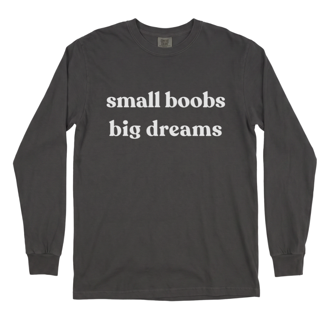 Small Boobs Big Dreams - Comfort Colors Long Sleeve Premium T Shirt
