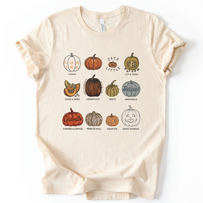 Pumpkin Patch - Bella Canvas Super Soft Straight Cut T shirt