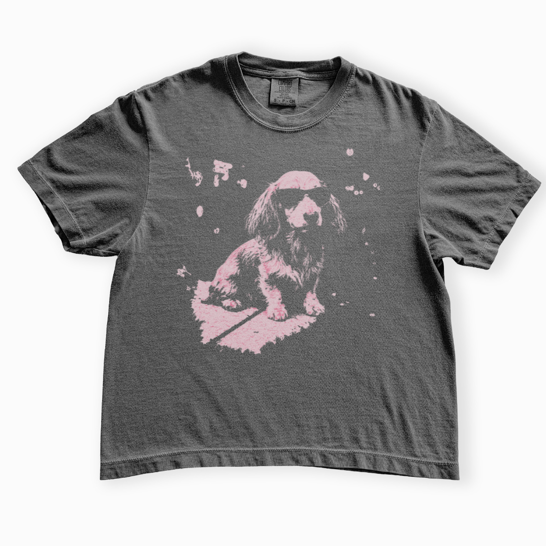 Street Dawg - Comfort Colors Boxy Cropped Tee