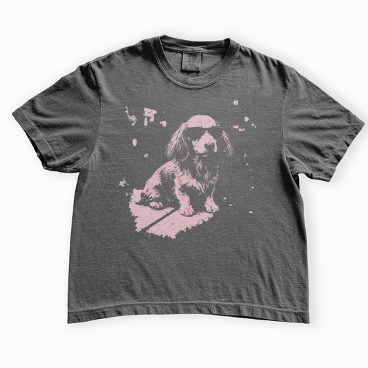 Street Dawg - Comfort Colors Boxy Cropped Tee