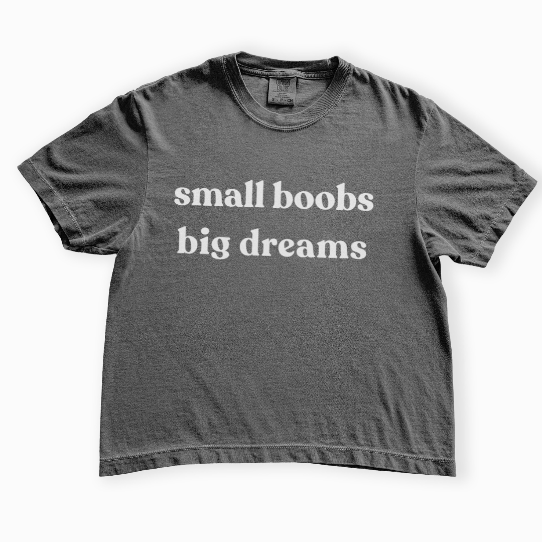Small Boobs Big Dreams - Comfort Colors Boxy Cropped Tee