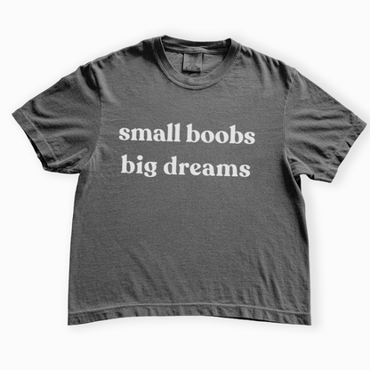 Small Boobs Big Dreams - Comfort Colors Boxy Cropped Tee