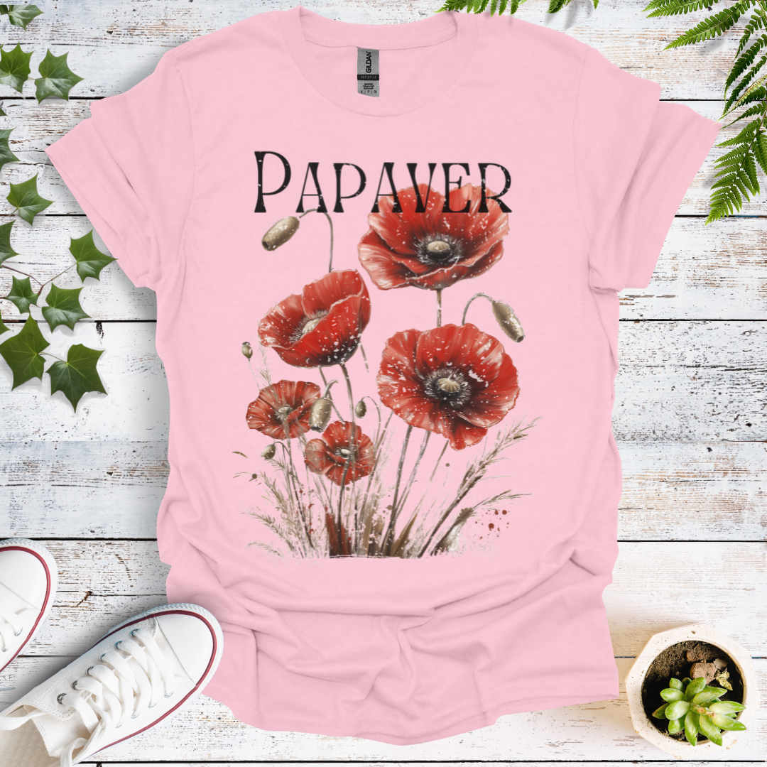 Latin Poppy