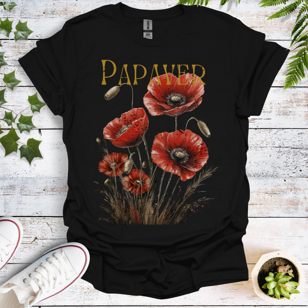 Latin Poppy