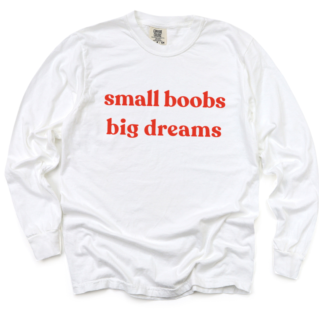 Small Boobs Big Dreams - Comfort Colors Long Sleeve Premium T Shirt
